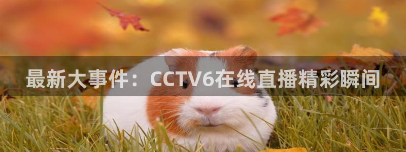 jrkan2022直播体育网：最新大事件：CCTV6在线直播精彩瞬间