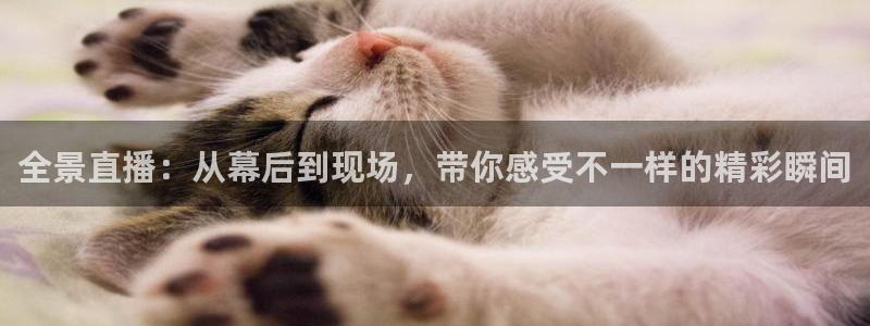 jrkan2023免费体育直播：全景直播：从幕后到现场，带你感受不一样的精彩瞬间