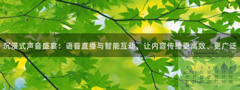 jrkan视频直播nba：沉浸式声音盛宴：语音直播与智能互动，让内容传播更高效、更广泛