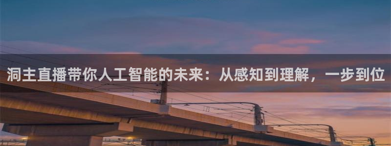 jrkan视频直播nba：洞主直播带你人工智能的未来：从感知到理解，一步到位