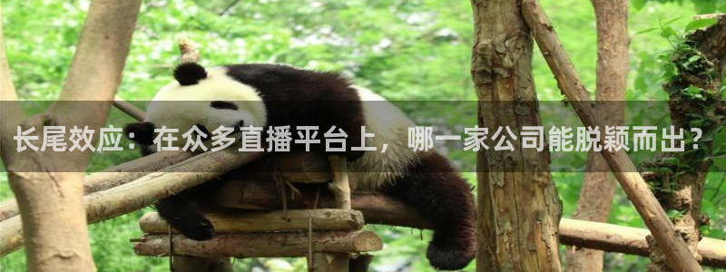 jrkan.com直播体育：长尾效应：在众多直播平台上，哪一家公司能脱颖而出？