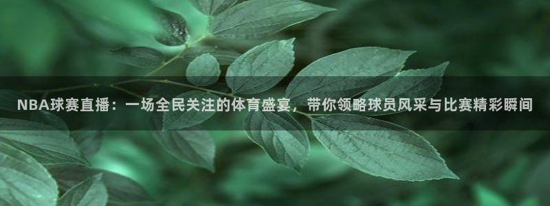 jrkan2023直播体育网：NBA球赛直播：一场全民关注的体育盛宴，带你领略球员风采与比赛精彩瞬间