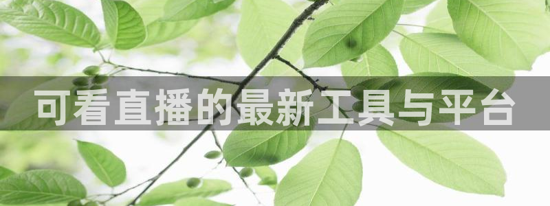 篮球直播jrkan：可看直播的最新工具与平台