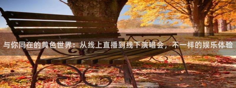jrkan nba直播：与你同在的黄色世界：从线上直播到线下演唱会，不一样的娱乐体验